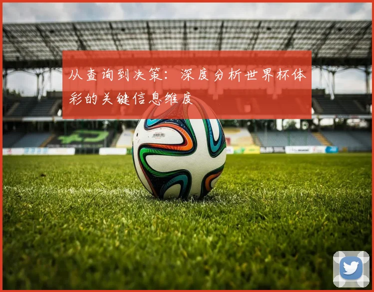 从查询到决策：深度分析世界杯体彩的关键信息维度